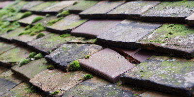 Pentre Gwenlais roof repair costs